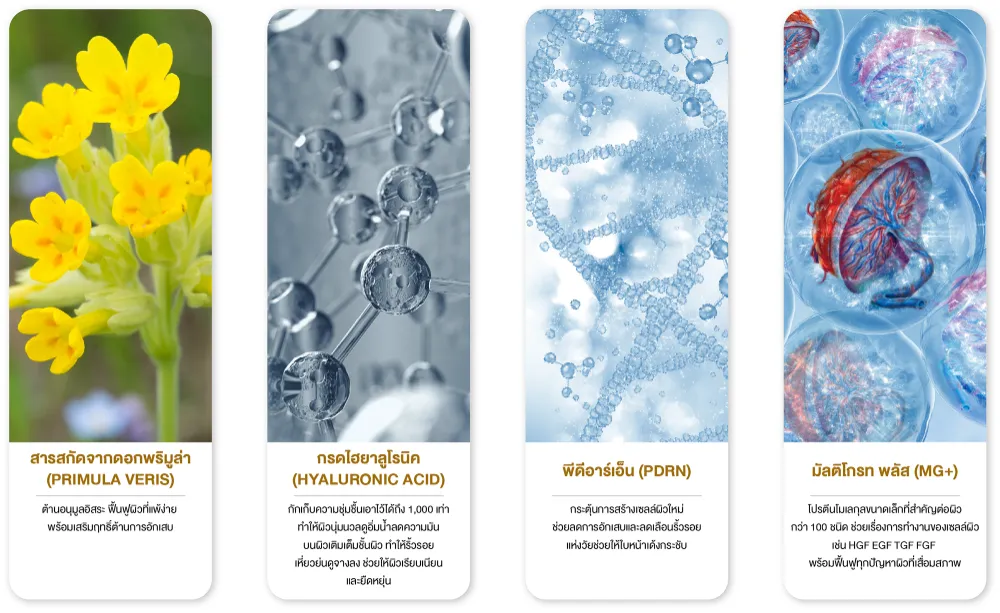 สารสกัดสำคัญใน Meso Booster โปรแกรม Glass Skin