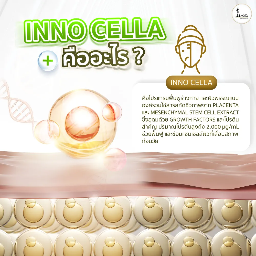 Inno Cella คืออะไร ?